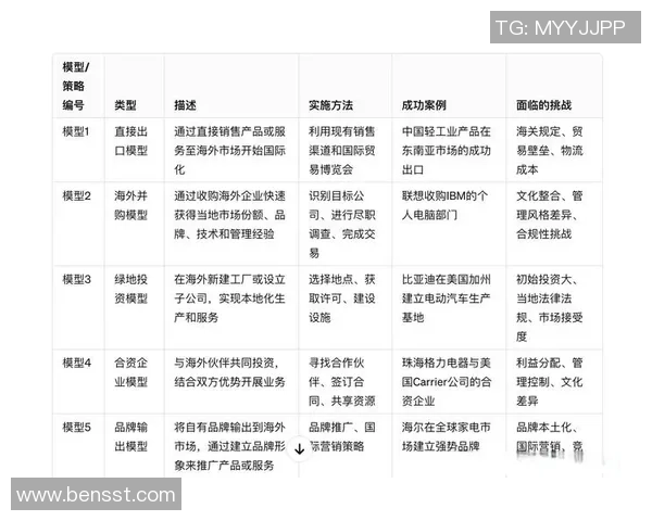 PG国际市场细分策略的创新与实施路径探讨